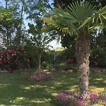 Mansarde Et Climatise 50 M2 * Pompignan (Tarn-et-Garonne)
