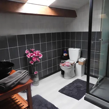 Mansarde Et Climatise 50 M2