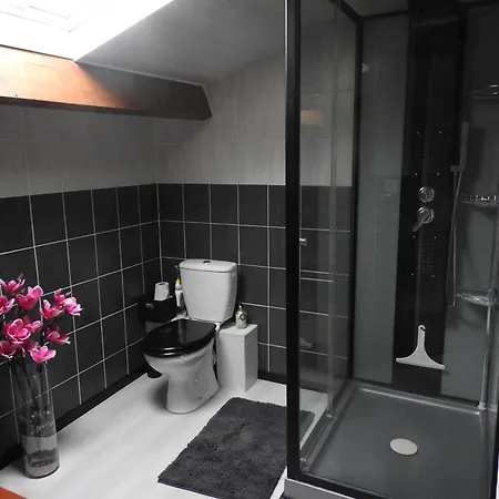 Mansarde Et Climatise 50 M2 Lejlighed