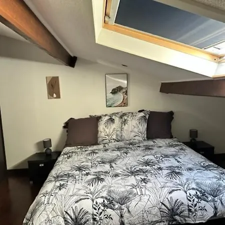 Mansarde Et Climatise 50 M2 * Pompignan (Tarn-et-Garonne)