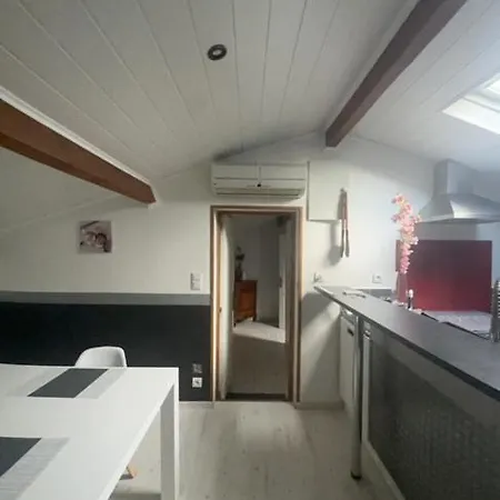 Mansarde Et Climatise 50 M2 Lejlighed