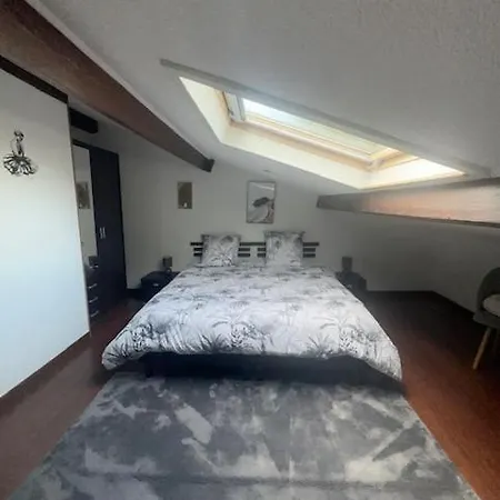 Mansarde Et Climatise 50 M2