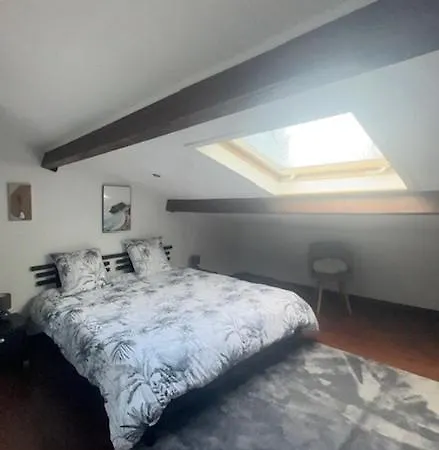 Mansarde Et Climatise 50 M2 아파트 Pompignan (Tarn-et-Garonne)