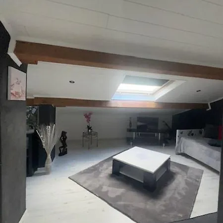 Mansarde Et Climatise 50 M2 *