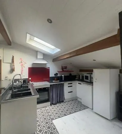 Mansarde Et Climatise 50 M2 * Pompignan (Tarn-et-Garonne)