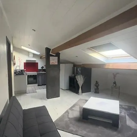 Mansarde Et Climatise 50 M2 Pompignan (Tarn-et-Garonne)