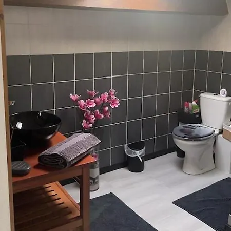 Mansarde Et Climatise 50 M2 Lejlighed *