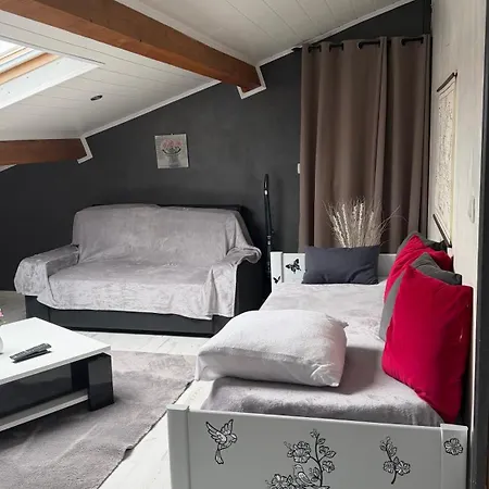 Mansarde Et Climatise 50 M2