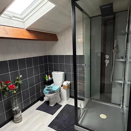 Mansarde Et Climatise 50 M2