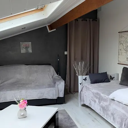 Mansarde Et Climatise 50 M2 * Pompignan (Tarn-et-Garonne)