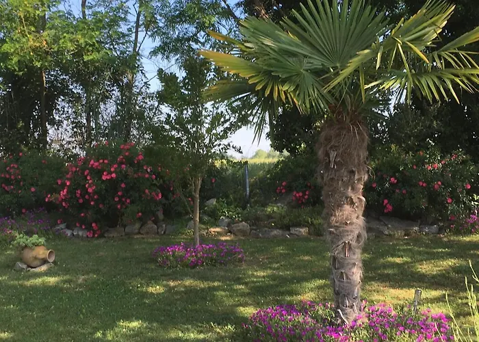 Mansarde Et Climatise 50 M2 * Pompignan (Tarn-et-Garonne)