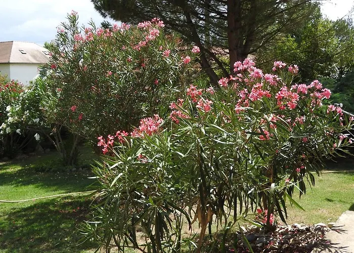 Lägenhet Mansarde Et Climatise 50 M2 Pompignan (Tarn-et-Garonne)