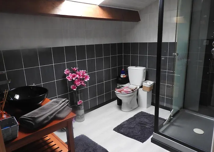 Mansarde Et Climatise 50 M2