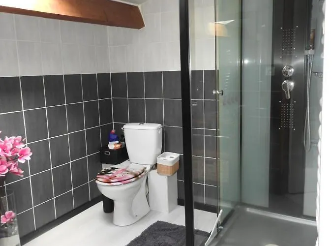 Lägenhet Mansarde Et Climatise 50 M2 Pompignan (Tarn-et-Garonne)