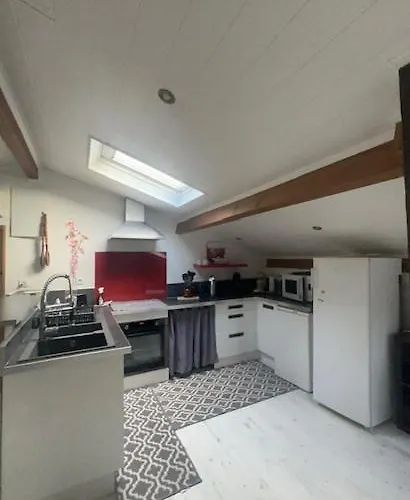 Mansarde Et Climatise 50 M2 * Pompignan (Tarn-et-Garonne)