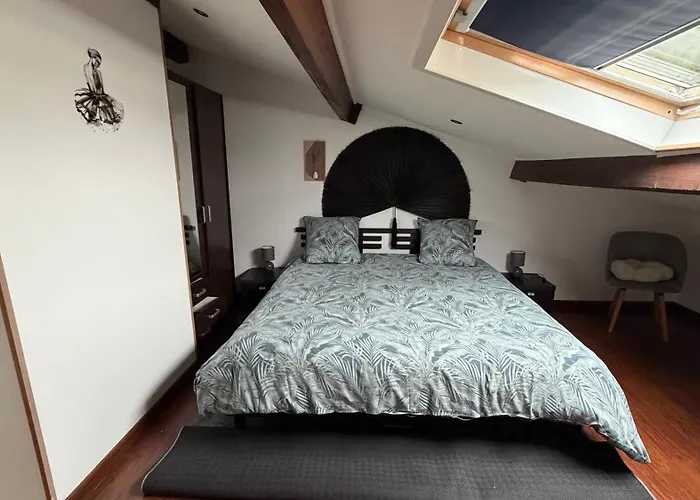 Lägenhet Mansarde Et Climatise 50 M2