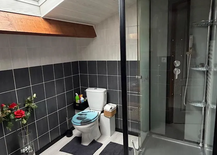 Mansarde Et Climatise 50 M2